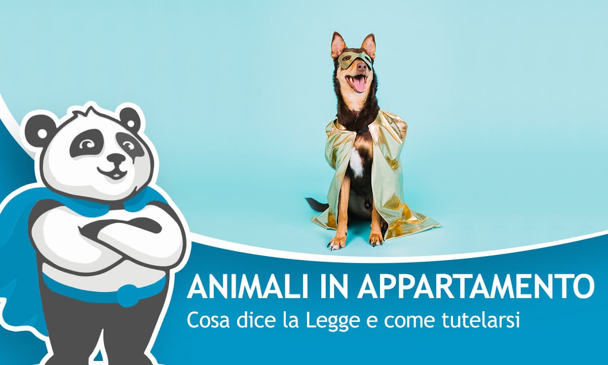 possibile avere animali domestici in appartamento